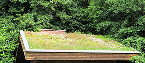 Green Roof